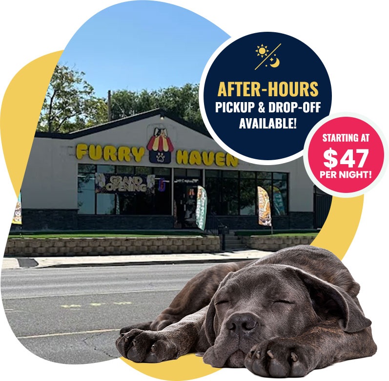 Furry Haven building exterior with a sleeping dog in the foreground and promotional text advertising after-hours pickup and drop-off for overnight dog boarding, starting at $47 per night.